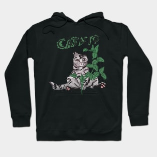 Catnip high Hoodie